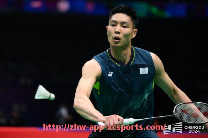 杏彩体育-德甲绣星球队：解析获得绣星的德甲球队及其荣誉