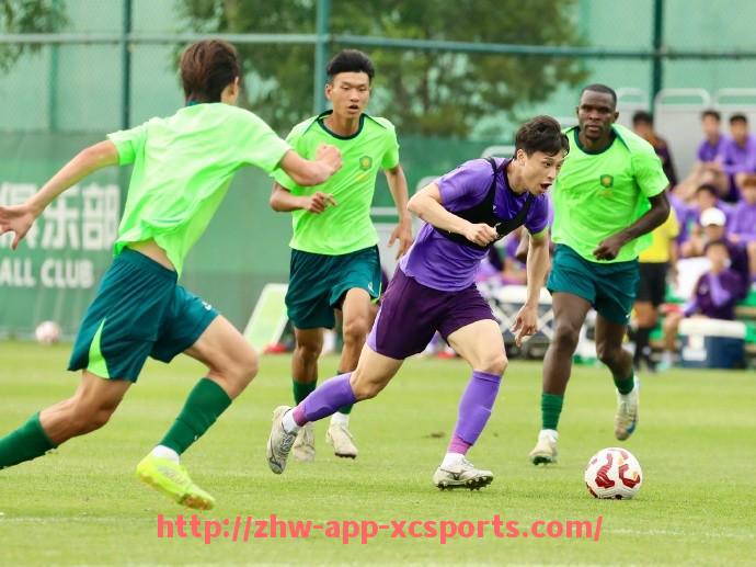 杏彩体育-世俱杯比赛纪律裁决机制实施路径与案例分析